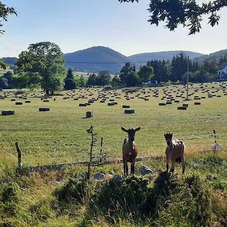 Seoski Turizam Melovic Farm stay *