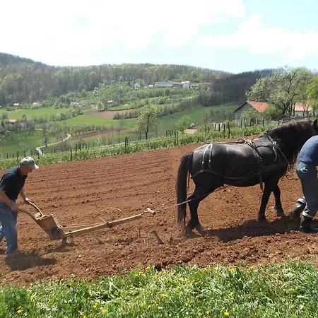 Farmház Seoski Turizam Melovic Rožanstvo
