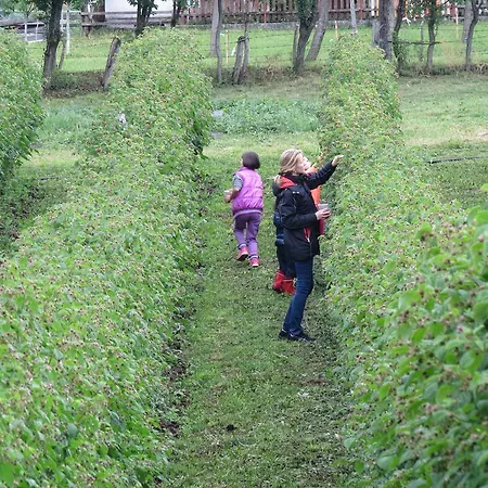 Farm stay Seoski Turizam Melovic Rozanstvo