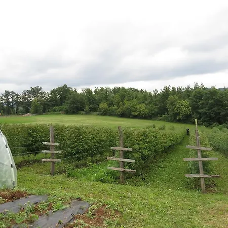 Seoski Turizam Melovic