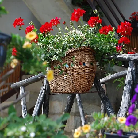 Seoski Turizam Melovic